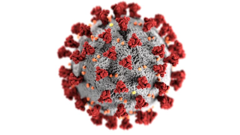 Coronavirus SARS-CoV-2